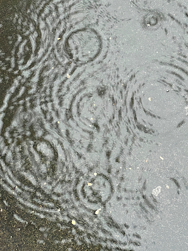 Regenpfützen in Düsseldorf